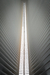 Urban Feather, World Trade Center, NYC - EUA