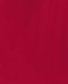 Red-Veal Your Truth en internet