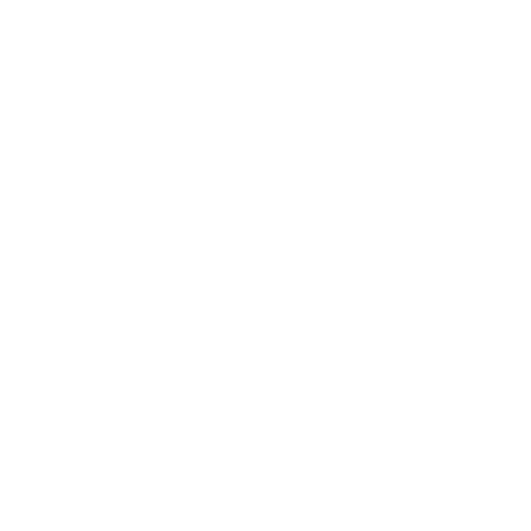 La palanca