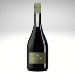 AMITIÉ VIOGNER