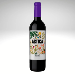 TRAPICHE ASTICA