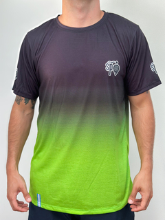 Remera Smoke Degradé Verde