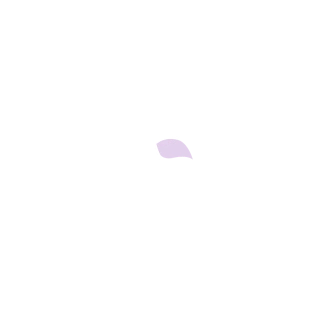  Le Intima Lingerie | Sex shop Online Em Planaltina DF