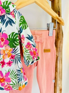 conjunto hesira en internet