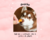 Banner de Pet Paws