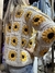 CAMPERA GIRASOL en internet