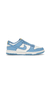 Nike Dunk SB Low - Coast