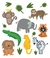 Tatufun Tatuagem Infantil Temporária Selva