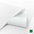 1695/200- Silver Blanco