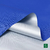1695/310- Silver Azul Francia