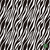 1623/637- Micropolar Cebra Blanco y negro - comprar online