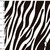 1623/637- Micropolar Cebra Blanco y negro en internet