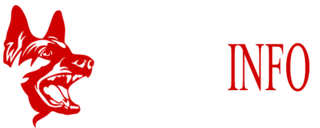 BELGAINFO