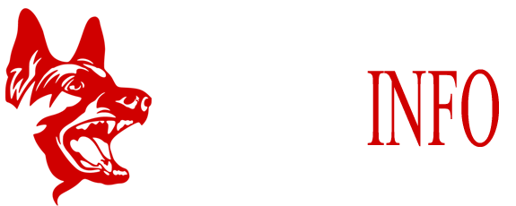 BELGAINFO
