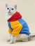 Moletom PET multicolorido