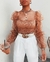 Blusa Feminina Mesh Sheer Chiffon Transparente Manga Longa Top Shirt Blusa Moda na internet