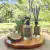 HOME SPRAY FIGO SECRETO - loja online