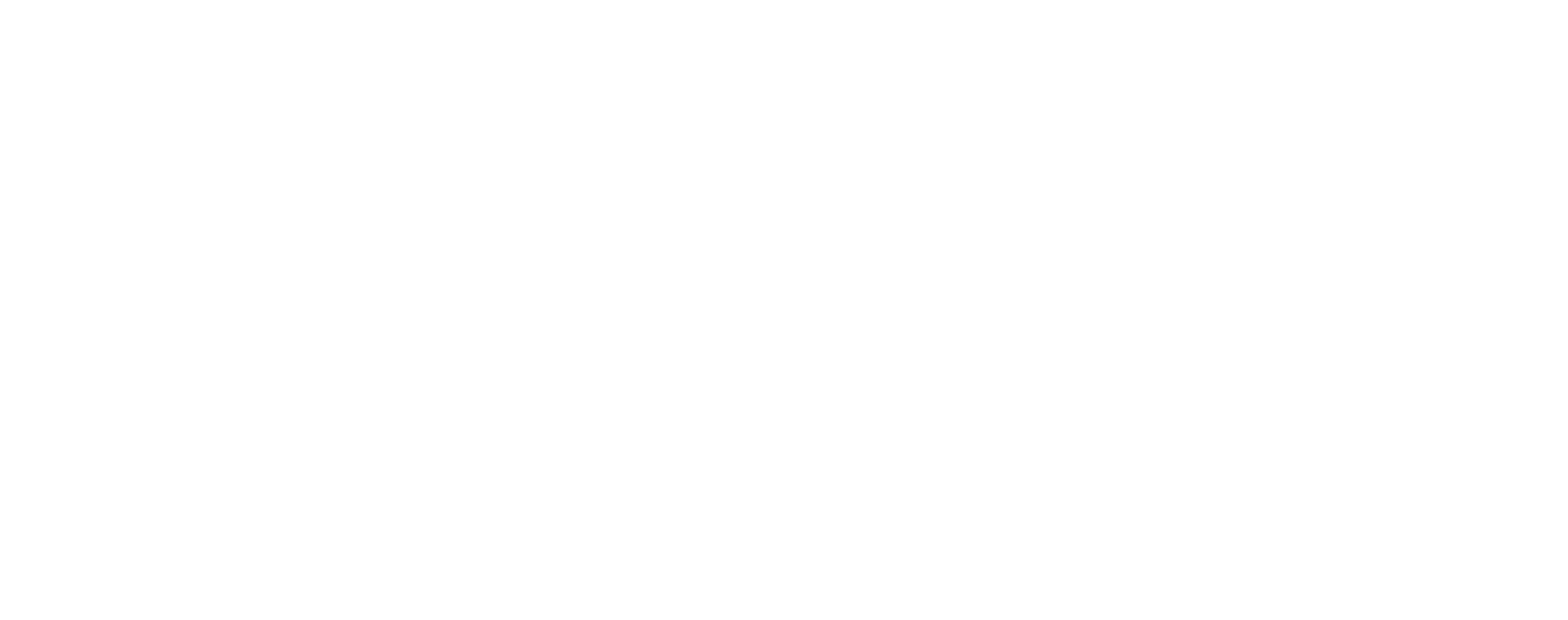 MERLOS STORE