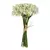 FLORES BLANCAS
