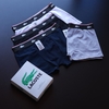 Kit cueca Lacoste