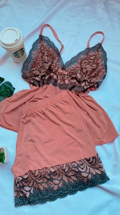 Baby Doll Rose na internet