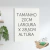 Kit 3 Quadros Decorativos Girafa na internet
