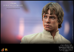 Imagen de Hot Toys Dx Series: Star Wars - Luke Skywalker Escala 1/6