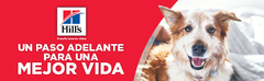Banner de la categoría Hill´s