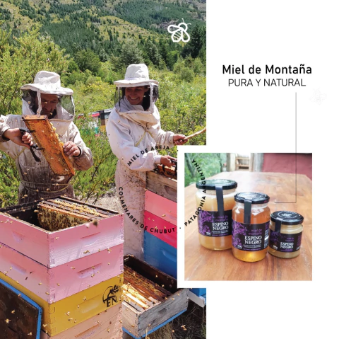 Imagen del carrusel Espino Negro