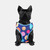 PEITORAL AIR PARA CACHORROS CANDY - comprar online