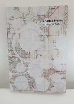 Charlas breves de Anne Carson