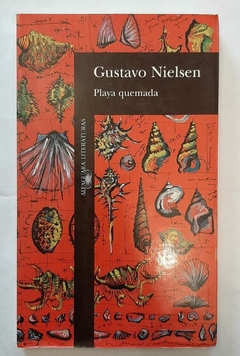 Playa quemada de Gustavo Nielsen