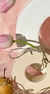 Aros Knot - comprar online
