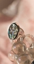 Anillo Haliotis