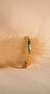 Anillo Melt II