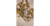 Anillo Petra en internet