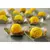 granulado crocante Amarelo mavalerio 500gr - comprar online