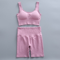 Imagem do Conjunto Yoga Short e Sutiã