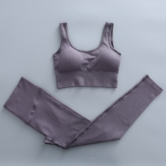 Conjunto Yoga Calça e Sutiã - comprar online