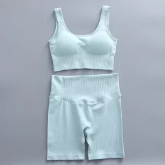 Conjunto Yoga Short e Sutiã - comprar online