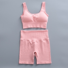 Conjunto Yoga Short e Sutiã na internet