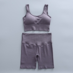 Conjunto Yoga Short e Sutiã na internet