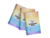 Capa Colorida - Miolo Sem Impressão - comprar online