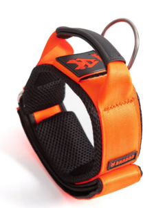 Coleira VORAUSS mkii tactical M - Bandog