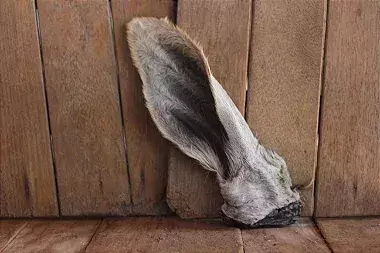 Orelha Inteira Bovina 2un - Lecker