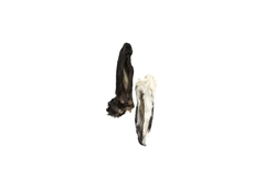 Orelha de Coelho 5un - Lecker - comprar online