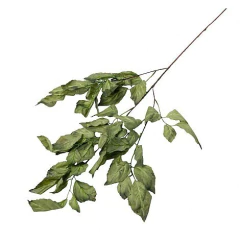 Vara Maple - comprar online