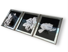 Cuadros set x 3