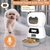 3.5l alimentador automático do animal de estimação inteligente dispensador de alimentos para gatos cães timer tigela de aço inoxidável auto dog cat pet alimentação pet suprimentos