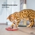 Gato automático brinquedos interativo inteligente detecção cobra teasetoys para gatos carregamento usb acessórios do gato para o jogo do gato do animal de estimação